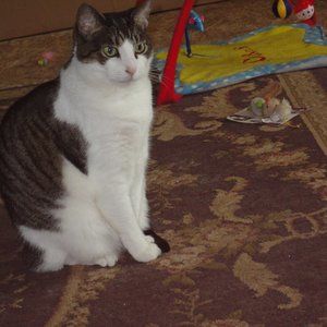 Meet your Posher, Sheila